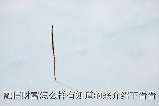 融信財(cái)富怎么樣有知道的來(lái)介紹下看看