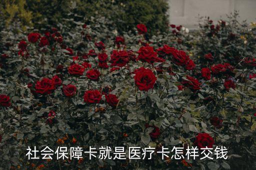 社會(huì)保障卡就是醫(yī)療卡怎樣交錢