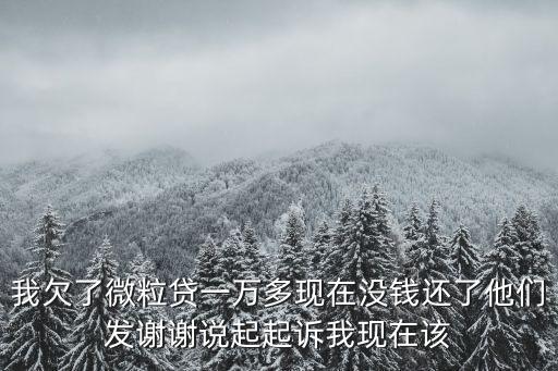 我欠了微粒貸一萬多現(xiàn)在沒錢還了他們發(fā)謝謝說起起訴我現(xiàn)在該