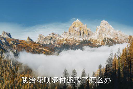 我給花唄多付還款了怎么辦