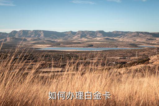 華夏銀行白金卡怎么辦理，怎么辦理華夏銀行信用卡