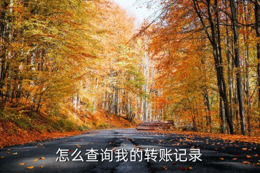怎么查詢我的轉(zhuǎn)賬記錄