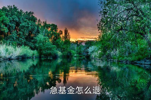 不想買基金怎么辦理，在網(wǎng)上如何終止購買基金