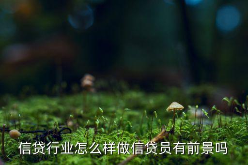 金融信貸行業(yè)怎么樣，金融貸款行業(yè)現(xiàn)在發(fā)展如何