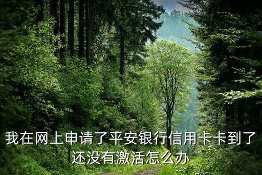 我在網(wǎng)上申請(qǐng)了平安銀行信用卡卡到了還沒(méi)有激活怎么辦