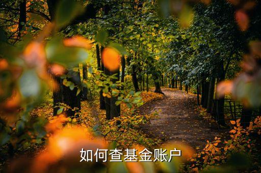 基金帳戶怎么查詢，如何查基金賬戶
