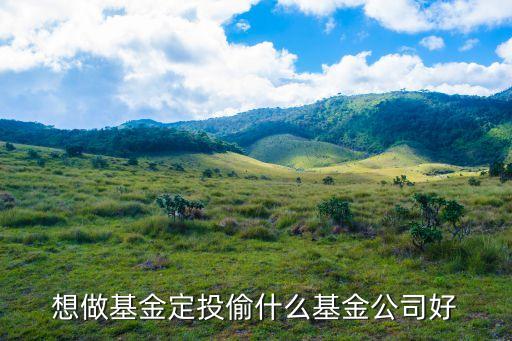想做基金定投偷什么基金公司好