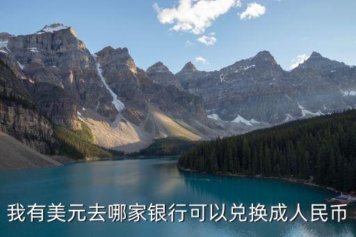 我有美元去哪家銀行可以兌換成人民幣