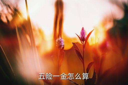 五險一金怎么計算的，五險一金算法