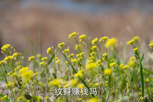 紋身賺錢嗎