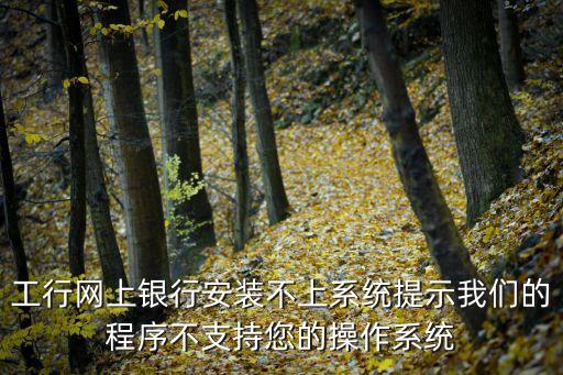 工行網(wǎng)上銀行安裝不上系統(tǒng)提示我們的程序不支持您的操作系統(tǒng)
