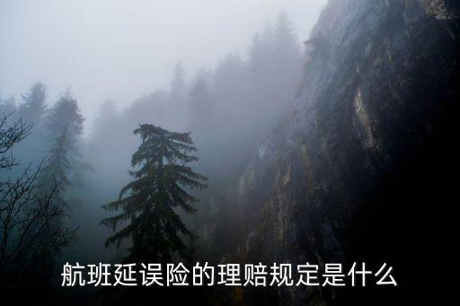 航班延誤險(xiǎn)的理賠規(guī)定是什么