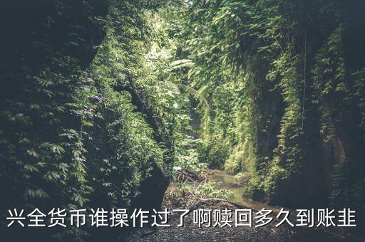 興全貨幣誰操作過了啊贖回多久到賬韭