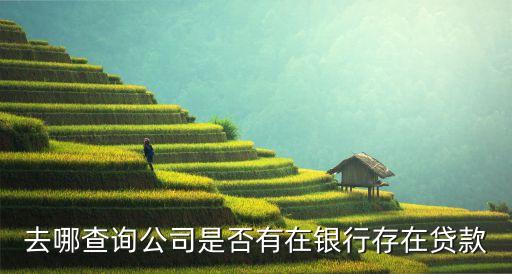 去哪查詢公司是否有在銀行存在貸款