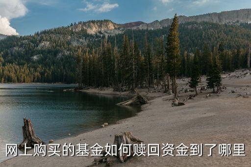 e錢包基金怎么贖回，網(wǎng)上購買的基金如何贖回資金到了哪里