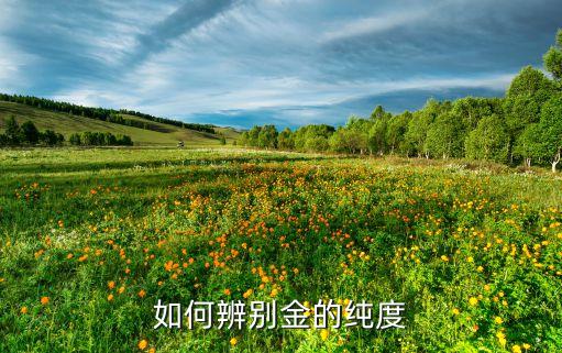 如何辨別金的純度