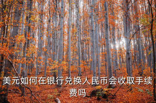 美元如何在銀行兌換人民幣會(huì)收取手續(xù)費(fèi)嗎