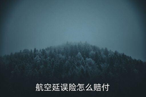 航延險怎么賠償，飛機延誤險怎么賠償