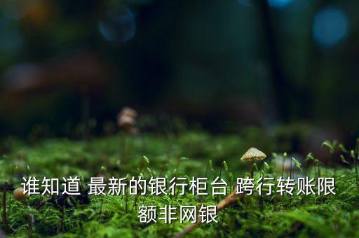 銀行卡柜臺怎么轉(zhuǎn)賬限額，銀行卡設(shè)定轉(zhuǎn)賬限額怎么設(shè)定