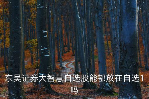 東吳證券大智慧自選股能都放在自選1嗎