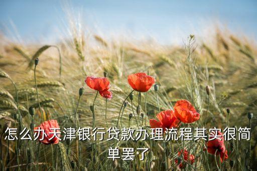 怎么辦天津銀行貸款辦理流程其實(shí)很簡單罷了
