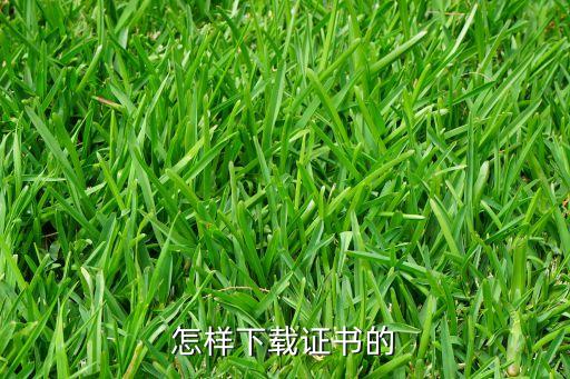 怎么下載網(wǎng)站上的證書，如何下載證書