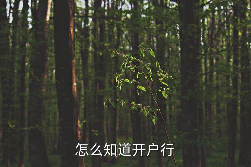 怎么知道開戶行