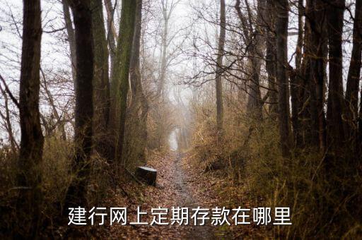 建行網(wǎng)上定期存款在哪里