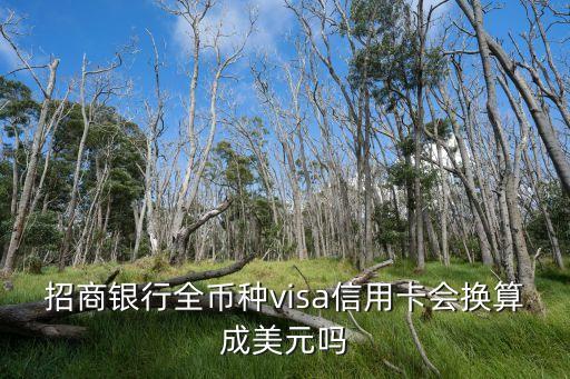 招商銀行全幣種visa信用卡會換算成美元嗎
