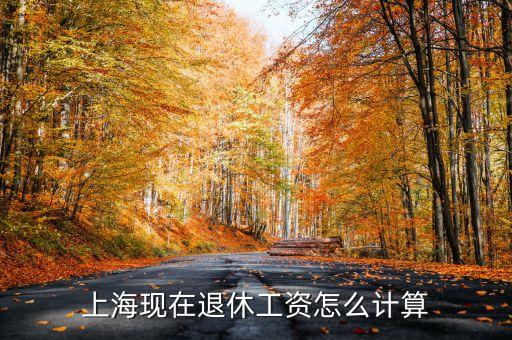 上海將來退休金怎么計算，上海退休工資如何計算