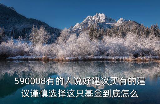 東方紅智逸基金怎么樣，590008有的人說好建議買有的建議謹(jǐn)慎選擇這只基金到底怎么