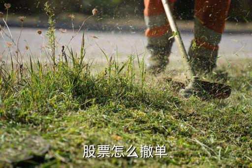 股票交易怎么撤單，股票怎樣撤單