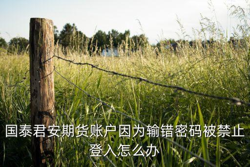國泰君安期貨賬戶因?yàn)檩斿e(cuò)密碼被禁止登入怎么辦