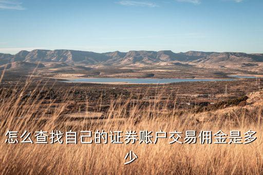 怎么查找自己的證券賬戶交易傭金是多少