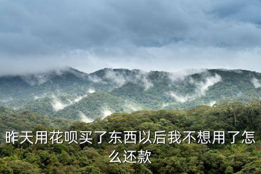 花唄沒有用過怎么還款日期，支付寶沒有螞蟻花唄怎么還款日期