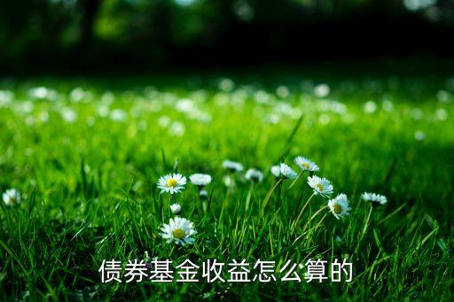 債券基金收益怎么算的
