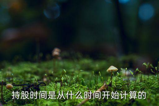 股票持有的年數(shù)怎么算，持股時間是從什么時間開始計算的