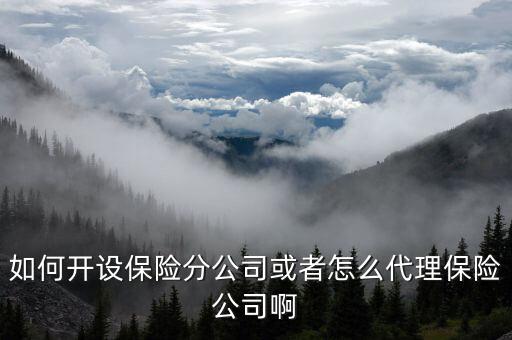 保險分公司怎么辦理，如何開一家縣級保險分公司