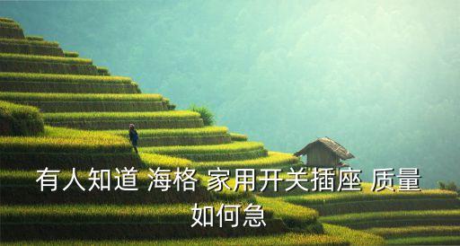 有人知道 海格 家用開關插座 質量如何急