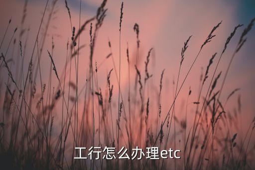 平頂山工行etc怎么辦理流程，工商銀行怎么辦理etc卡