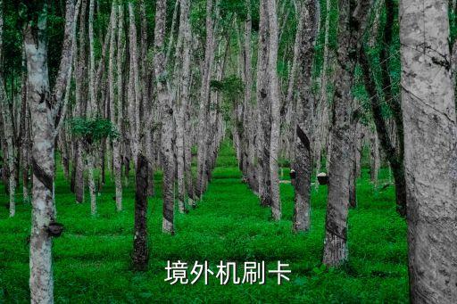 境外機刷卡