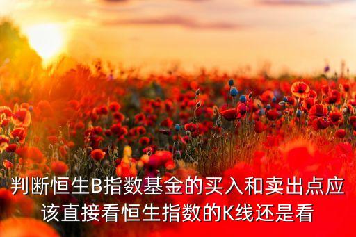 判斷恒生B指數(shù)基金的買入和賣出點(diǎn)應(yīng)該直接看恒生指數(shù)的K線還是看