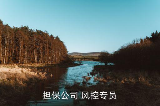 點融風控待遇怎么樣，擔保公司 風控專員