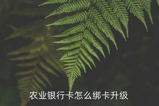 農(nóng)行卡一類怎么升級(jí)，農(nóng)業(yè)銀行卡怎么綁卡升級(jí)