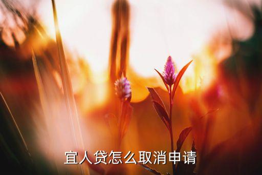 宜人貸不借了怎么取消，我用手機注冊宜人貸款現(xiàn)在不用了怎么注銷