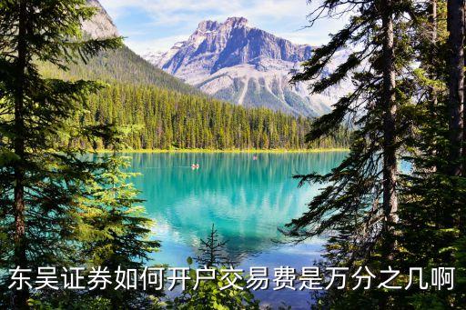 東吳證券如何開戶交易費(fèi)是萬分之幾啊