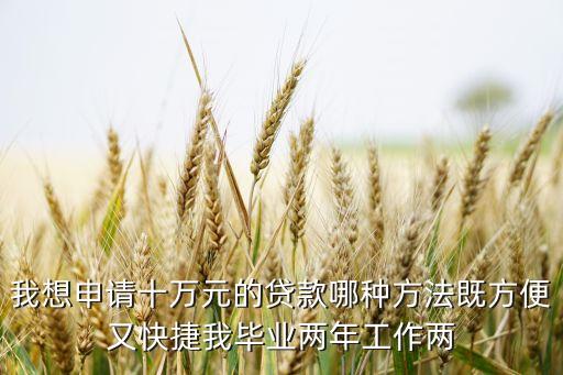 我想申請(qǐng)十萬(wàn)元的貸款哪種方法既方便又快捷我畢業(yè)兩年工作兩
