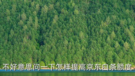 不好意思問一下怎樣提高京東白條額度