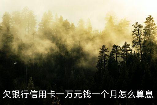 信用卡欠10000利息怎么算，信用卡 透支一萬元 一個(gè)月的利息是多少
