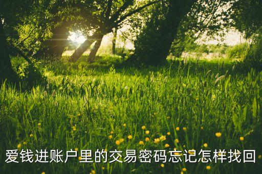 愛錢進(jìn)賬戶里的交易密碼忘記怎樣找回